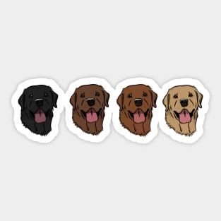 Row of Labradors Sticker